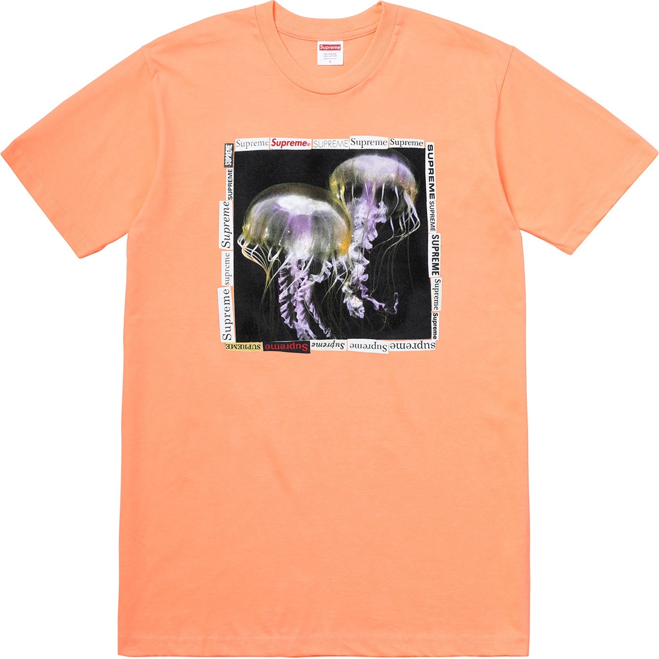 Jellyfish Tee view 3
